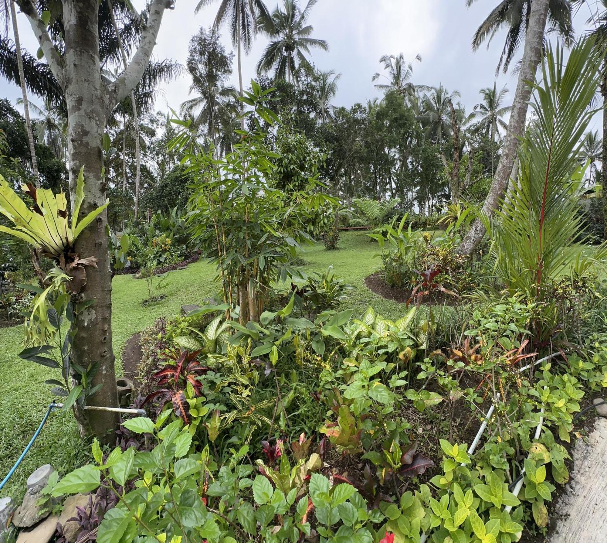 Kaja Villa Ubud  Luaran gambar